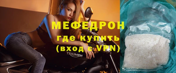 индика Гусев
