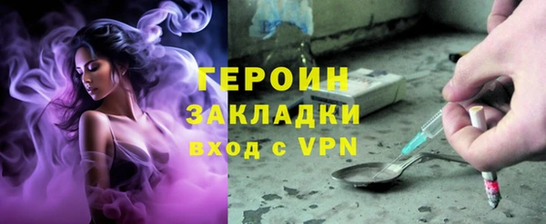 индика Гусев