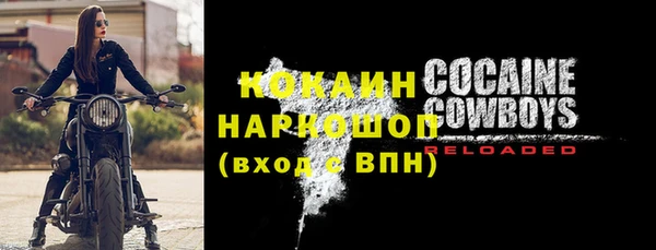 индика Гусев