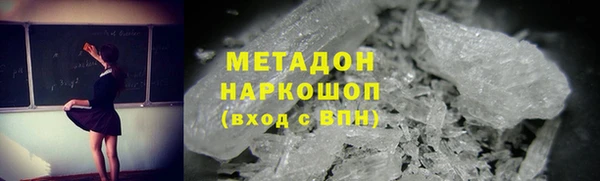 индика Гусев