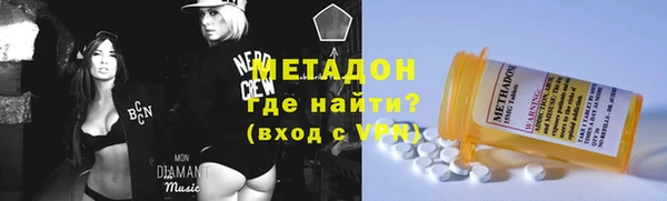 индика Гусев