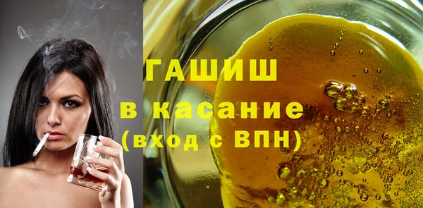 индика Гусев