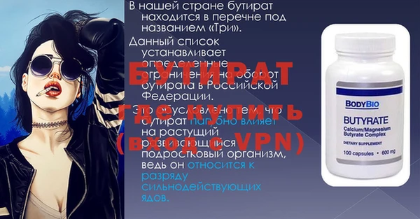 индика Гусев