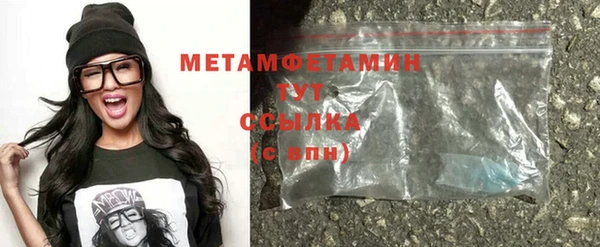 индика Гусев
