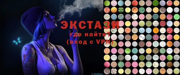 индика Гусев