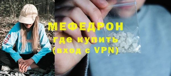 индика Гусев