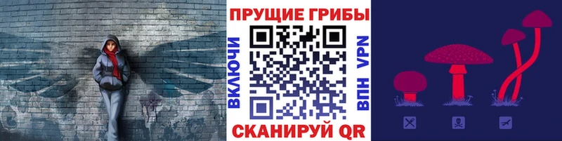 MEGA   Химки  Псилоцибиновые грибы ЛСД  где продают  